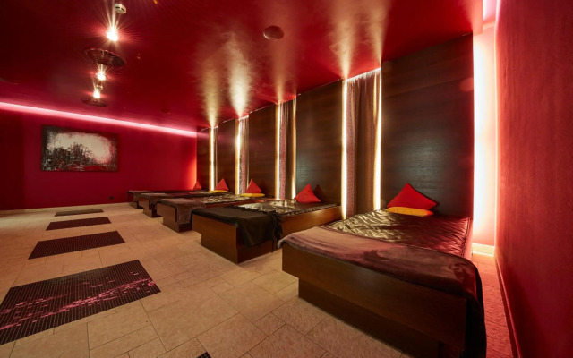 Hotel Alpine Palace