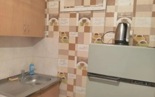 Apartment Zyryanovsk on Frunze 53