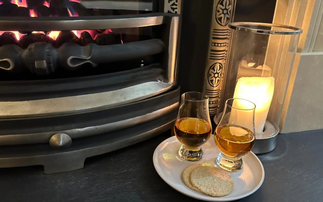 The Little Beech Tree