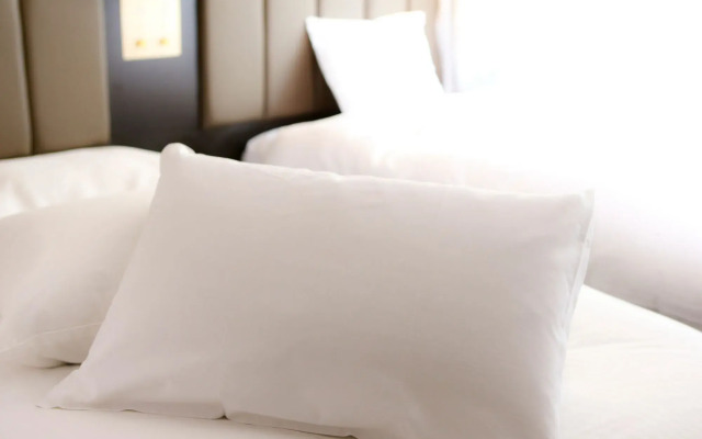 APA Hotel Tsubamesanjo Ekimae