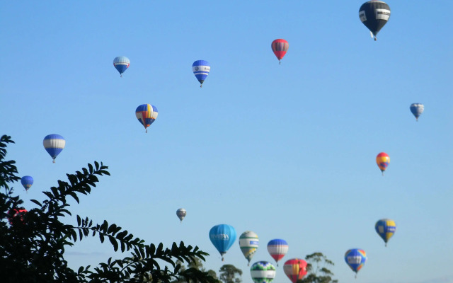 Morada das Bromélias