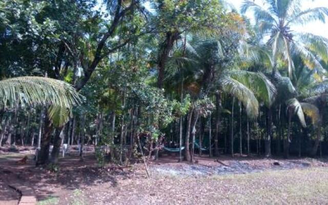 Virgin Winds Resorts
