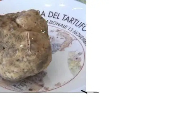 B&B Il Casale di Andrea & Simona