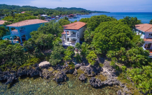 Coral Vista #4 - 50546