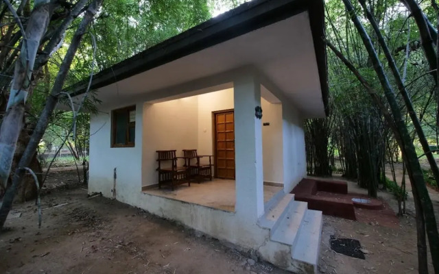 Bandhavgarh Meadows