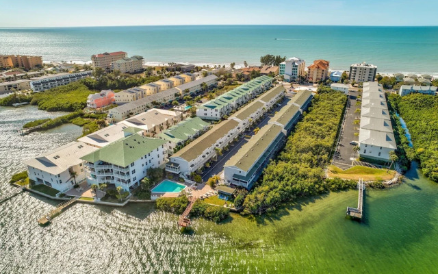 Sea Shell 28