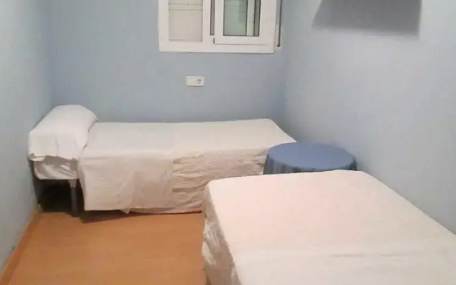 Bonsái