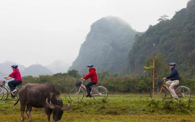 Heritage Line Violet Cruise - Ha Long Bay and Lan Ha Bay