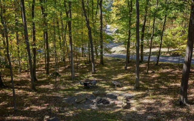 Bearadise 3 Bedroom House