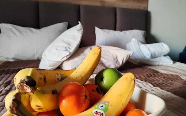 Ogi & Una Premijer 42