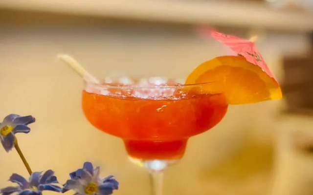 Riviera Punta Cana Eco Travelers House