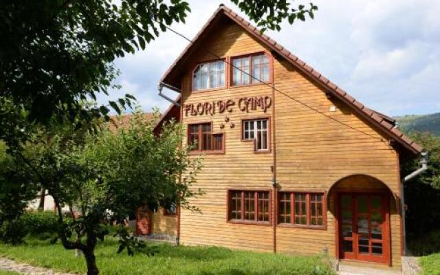 Pensiunea Flori de Camp