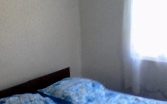 Borjomi Likani Homestay