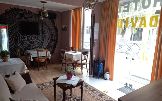 Hotel David