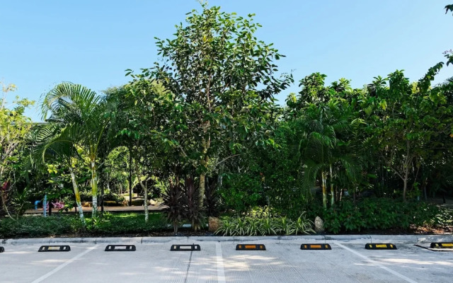 Lush Inn Phuket