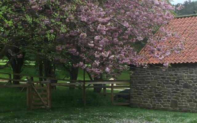 The Barn Guest House & Tea Rooms