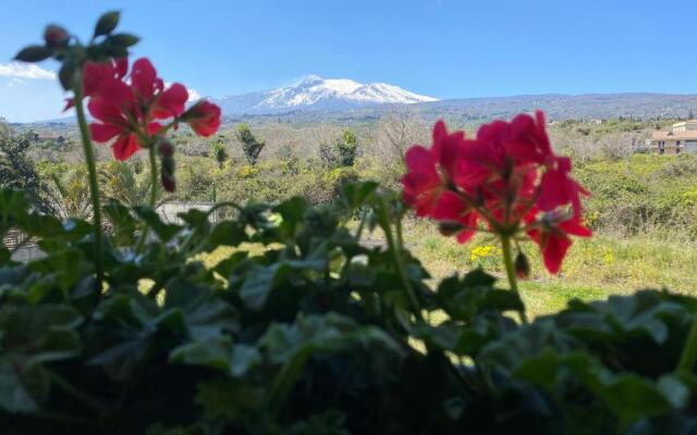 MA Giurati Suites
