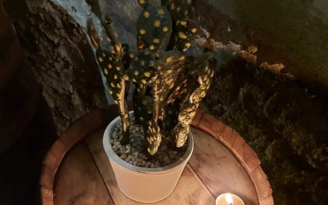 Sogno e Luce di Rosalia
