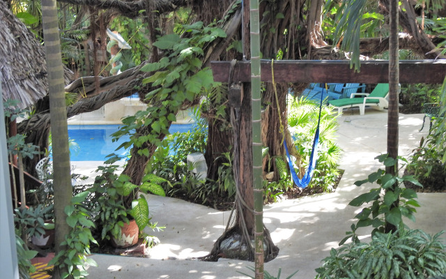 Eco-Hotel El Rey del Caribe