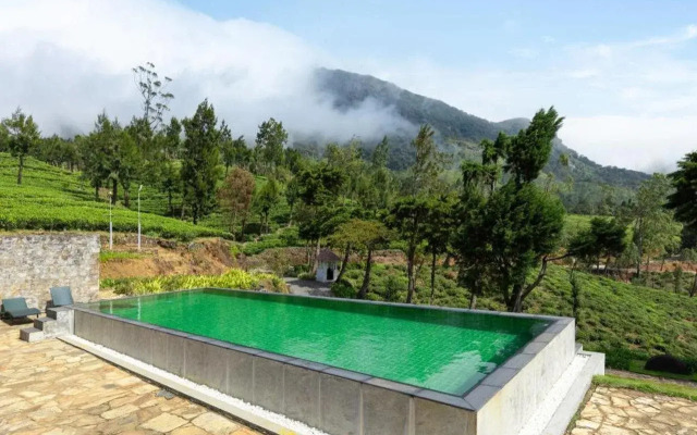 Tea & Experience Factory