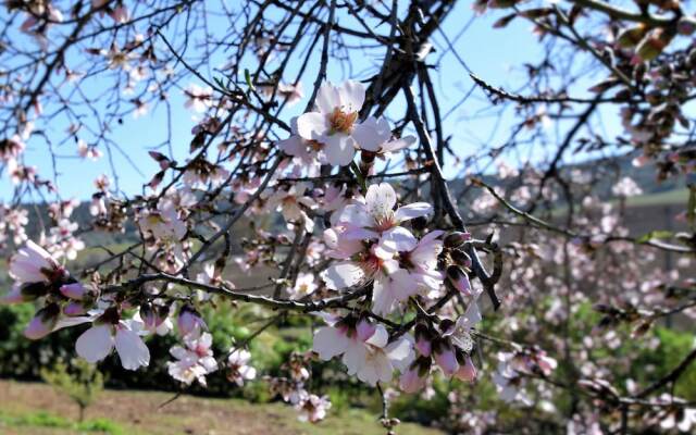 Lovely Holiday Home With Private Swimming Pool in Almogía