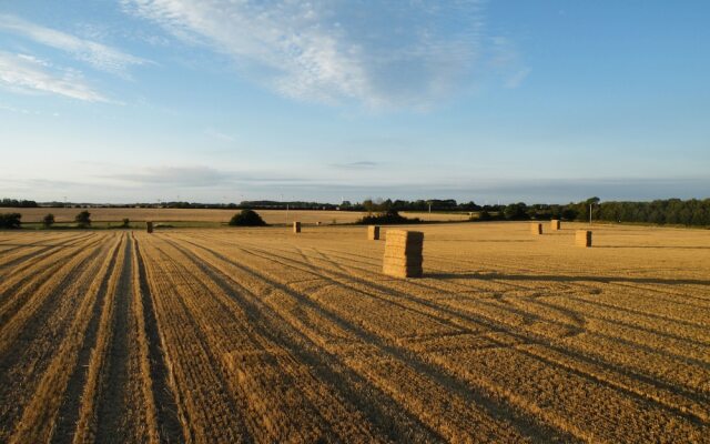 Highfield Farm