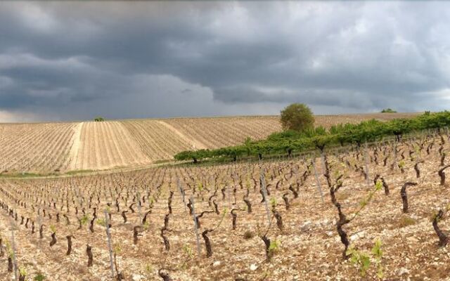 Domaine Maltoff