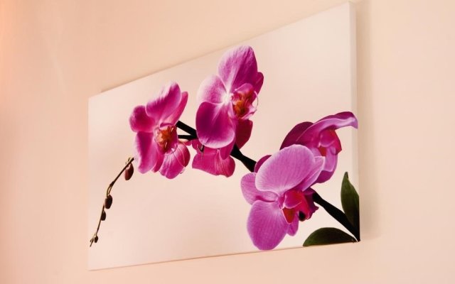 Apartament Orchidea