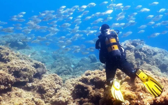 Terra Mia Affittacamere