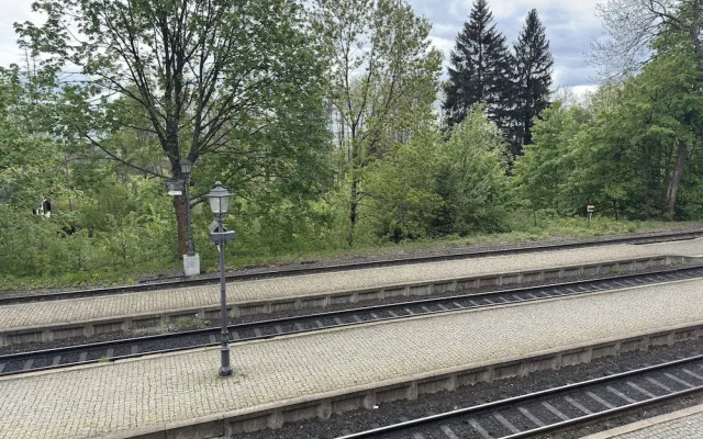 Apartment in Harz Near Brocken Railway