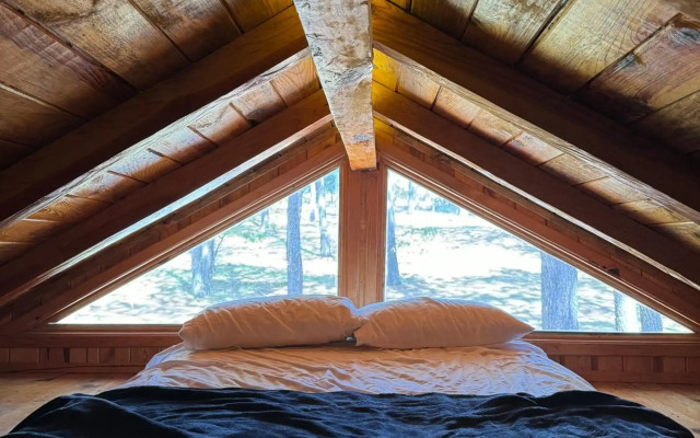 PINE TREE Hotel Boutique & Cabañas