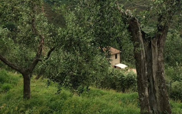 Campo dei Lupi Agriturismo