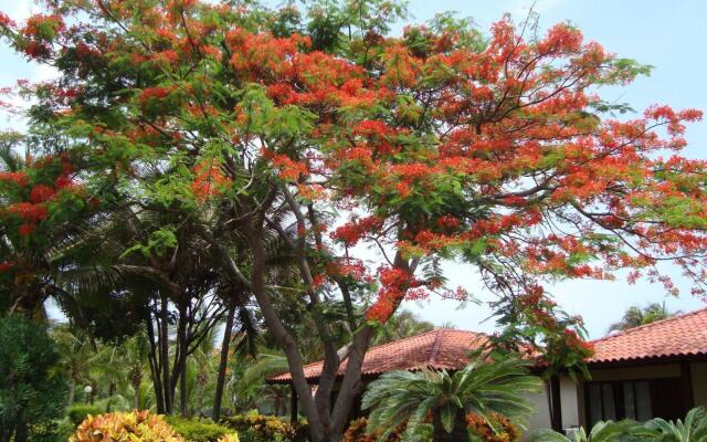 Nandel Beach Resort