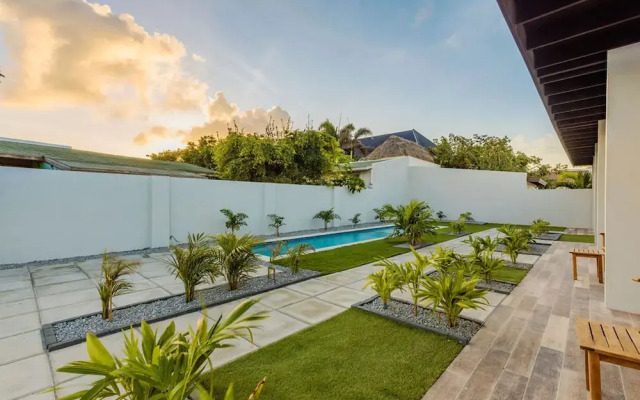 NEW - Amazingstudio Close 2 Palm Eagle Beach