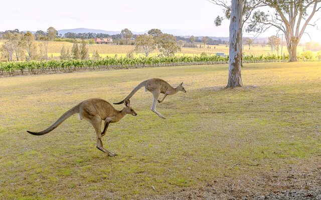 Blackwattle Luxury Retreats