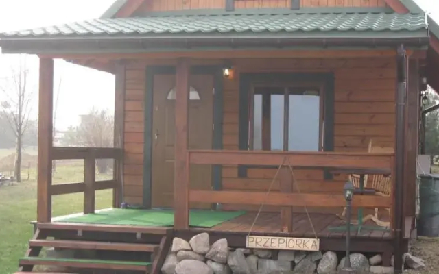 Przepiórka - Lisewo