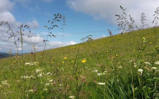 Hotel Gasthaus Hirschen