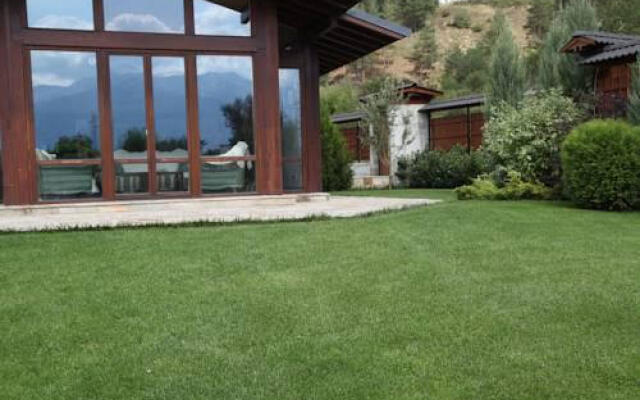 Luxury Villa Bansko 2