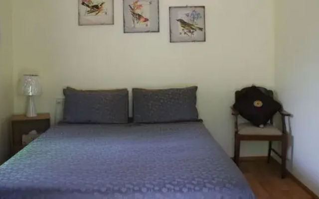 Bogie River Bush House