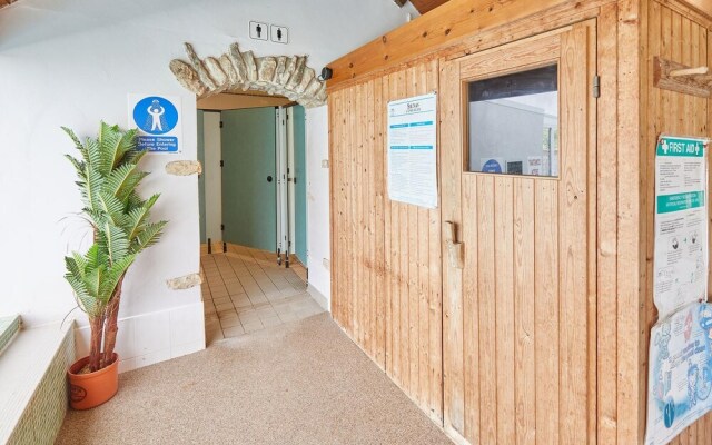 Host Stay Owl in Newton-on-rawcliffe