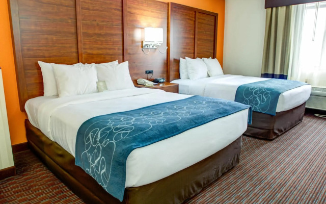 Comfort Suites Stevensville - St. Joseph
