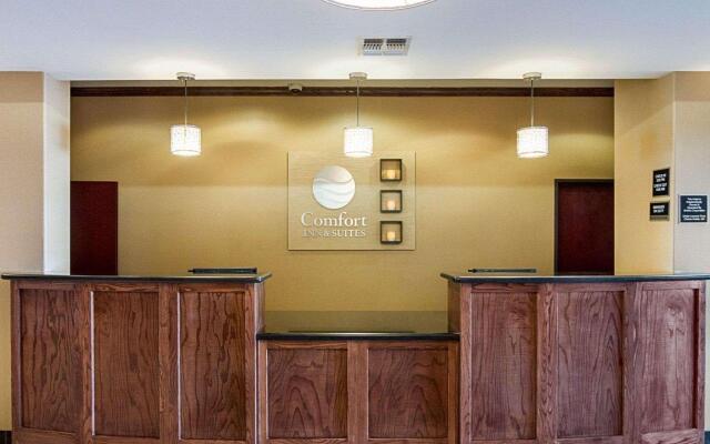 Comfort Inn & Suites Monahans I-20