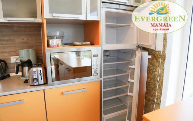 Evergreen Vlas Mamaia