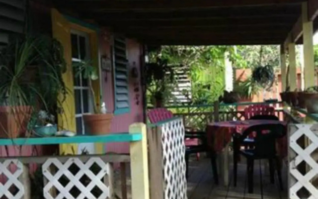 Naniqui Natural & Relax Adult Only