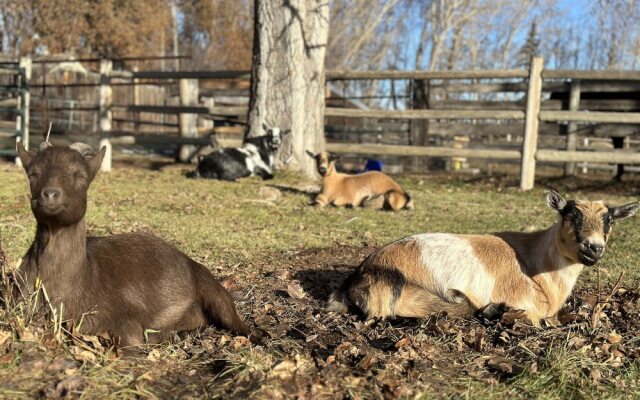 Rocking R Guest Ranch