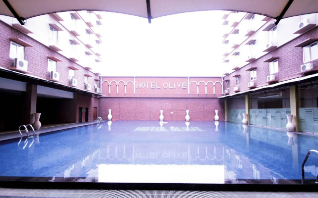 Hotel Olive