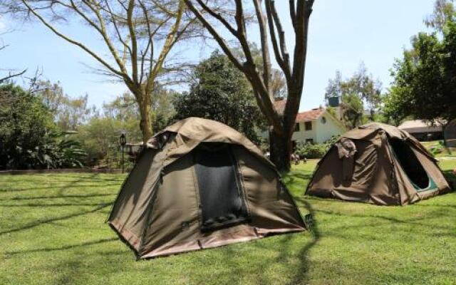 Wildebeest Eco Camp