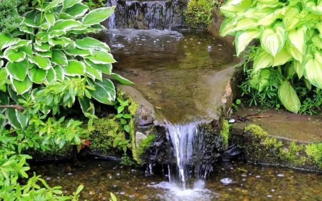 Westacre Bed & Breakfast