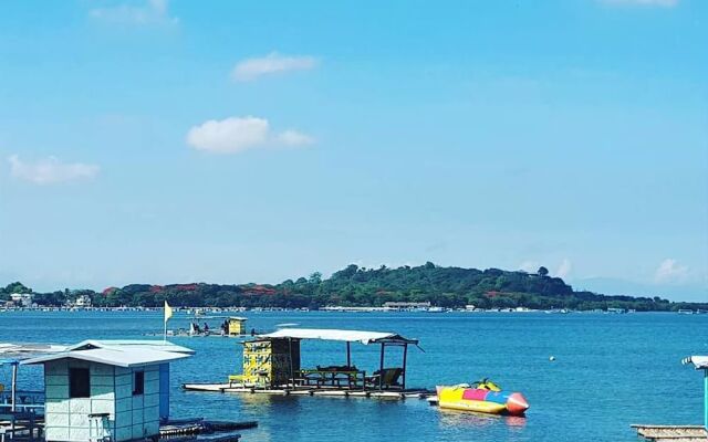 The Pelicans Castaway