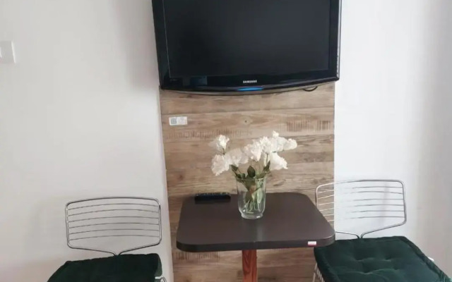 Piata Victoriei Kiseleff Studio Apartment